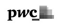 pwc-india-seo